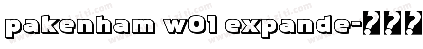 pakenham w01 expande字体转换